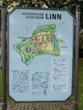 Stadtkarte Linn - Linn: historische Altstadt! Aussergewöhnliches Einfamilienhaus, viele Nutzungsmöglichkeiten! Garage!