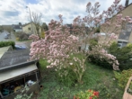 Blick in den Garten - Kaarst: Zweifamilienhaus mit Ausbaupotential in zentraler Lage!